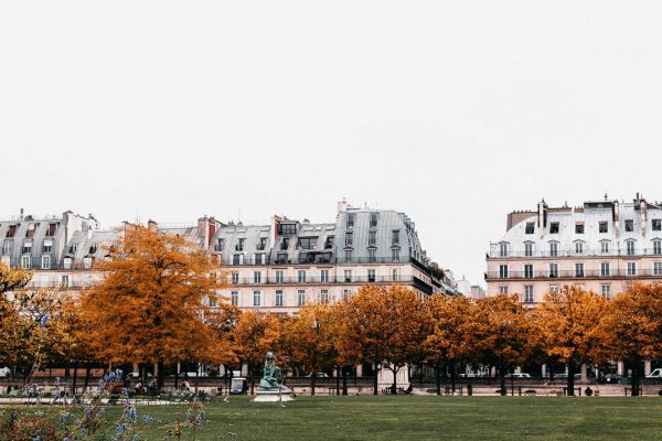 Paris in the fall