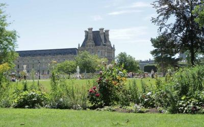 Tuileries Gardens with a view of the Louvre