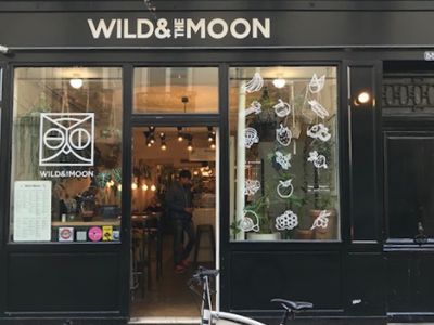 Wild And The Moon