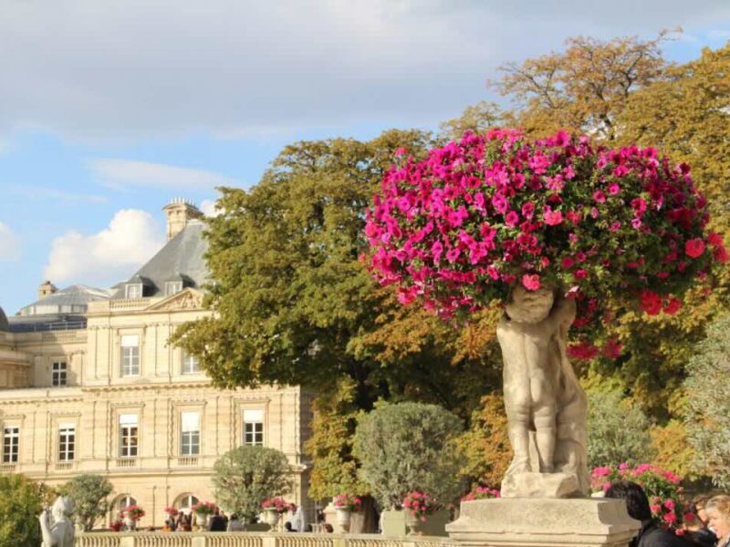 Pink flowers blooming in the Luxembourg Gardens